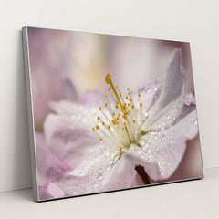 7090285576227 - Product Image