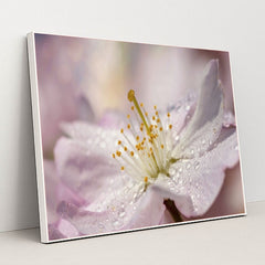 7090285576227 - Product Image