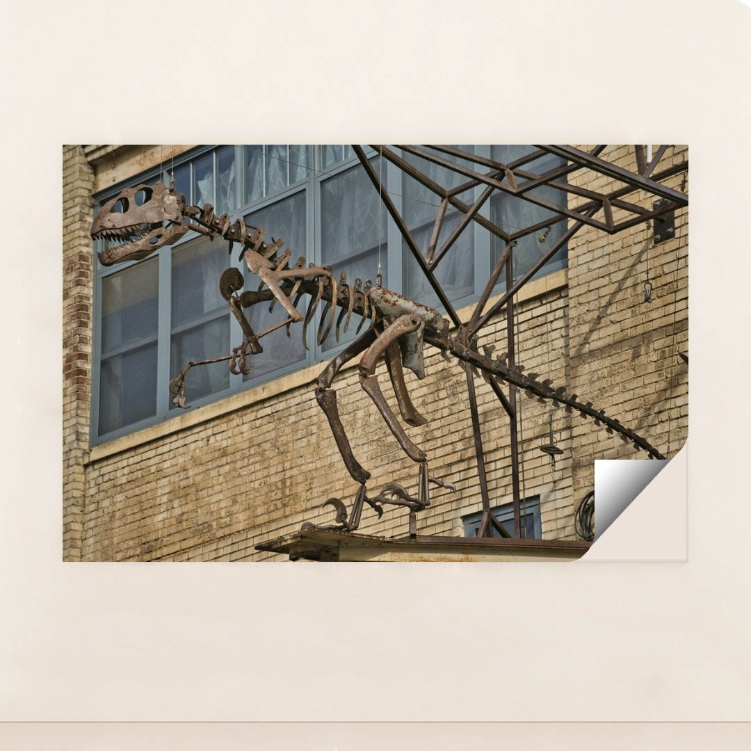 7090705694755 - Product Image