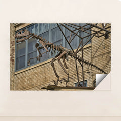 7090705694755 - Product Image