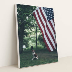 7090329747491 - Product Image