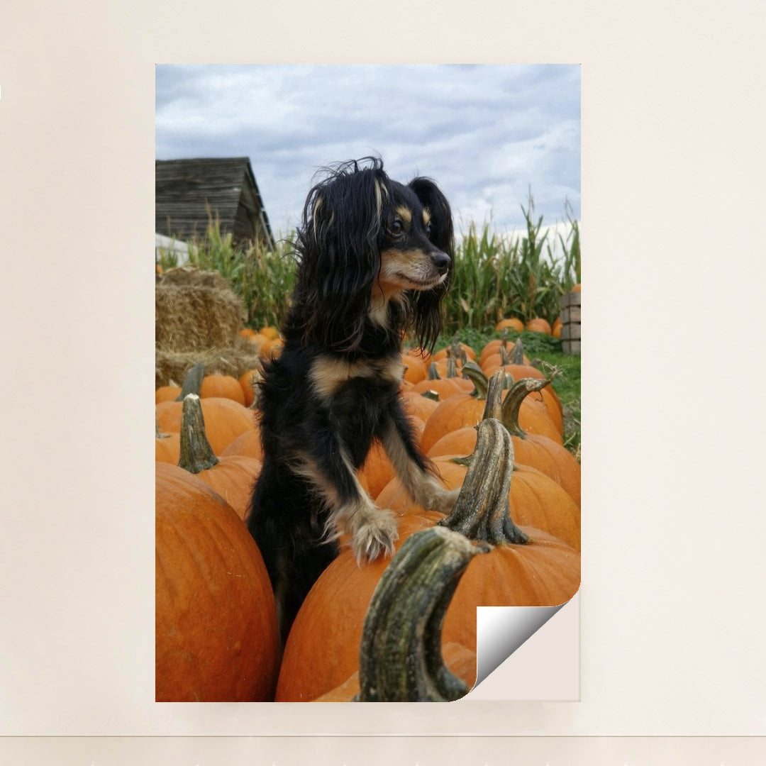 7090344296483 - Product Image