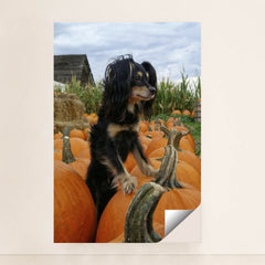 7090344296483 - Product Image