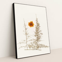 7090288492579 - Product Image