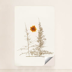 7090288492579 - Product Image