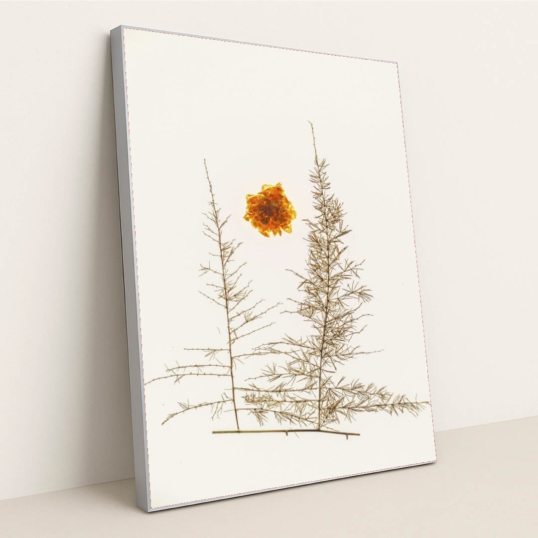 7090288492579 - Product Image