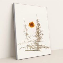 7090288492579 - Product Image