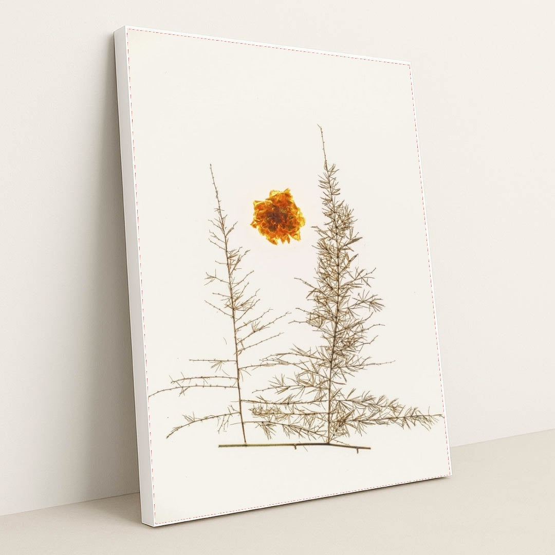 7090288492579 - Product Image