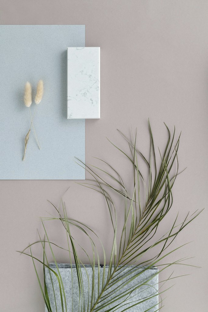 Edward Jenner - A minimalist composition featuring botanical elements on a beige and blue palette.