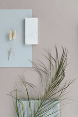 Edward Jenner - A minimalist composition featuring botanical elements on a beige and blue palette.
