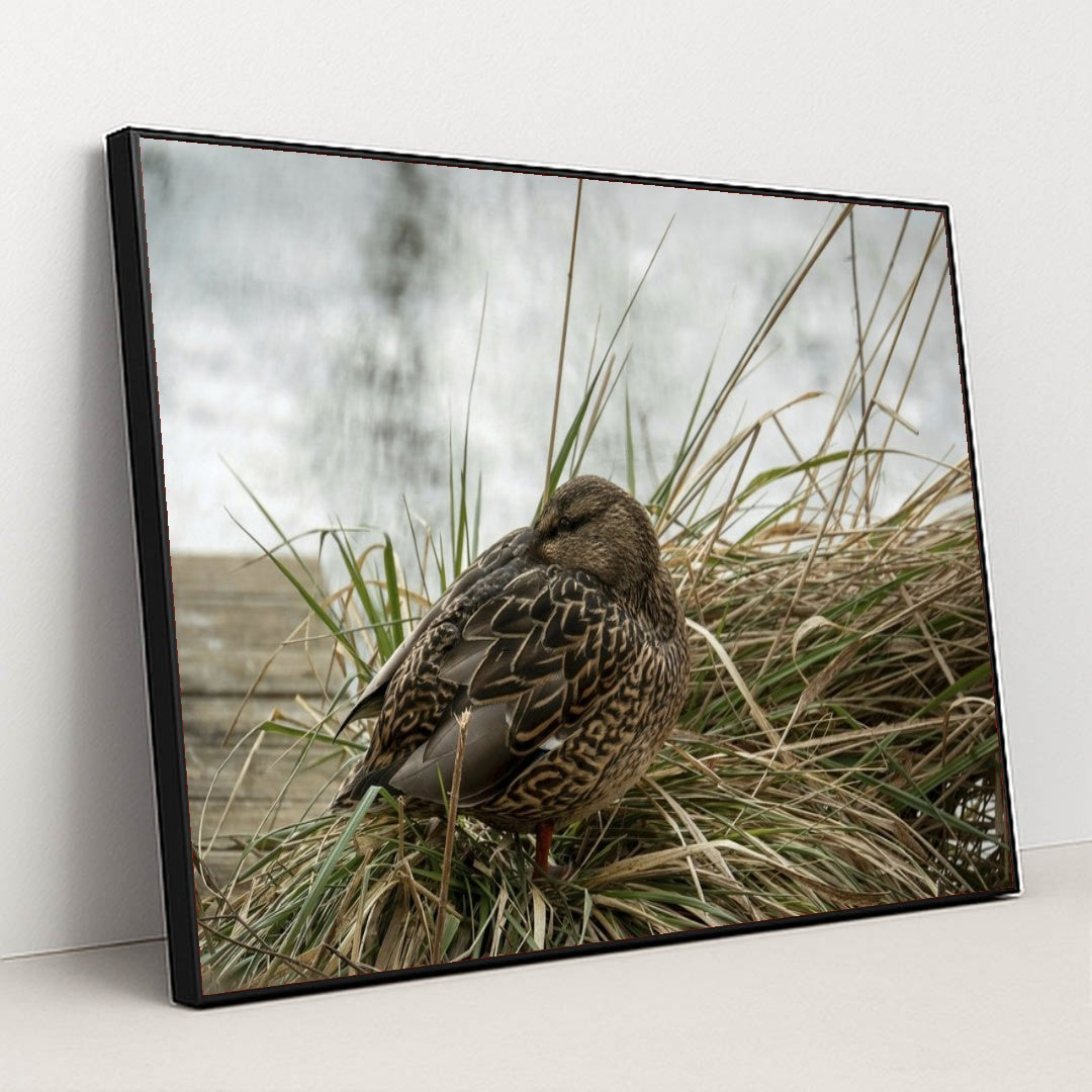 7090330763299 - Product Image