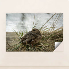 7090330763299 - Product Image