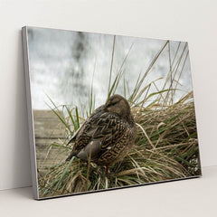 7090330763299 - Product Image