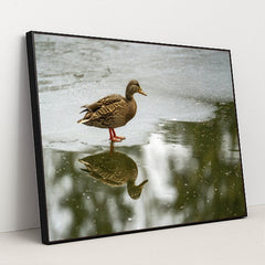 7090330828835 - Product Image