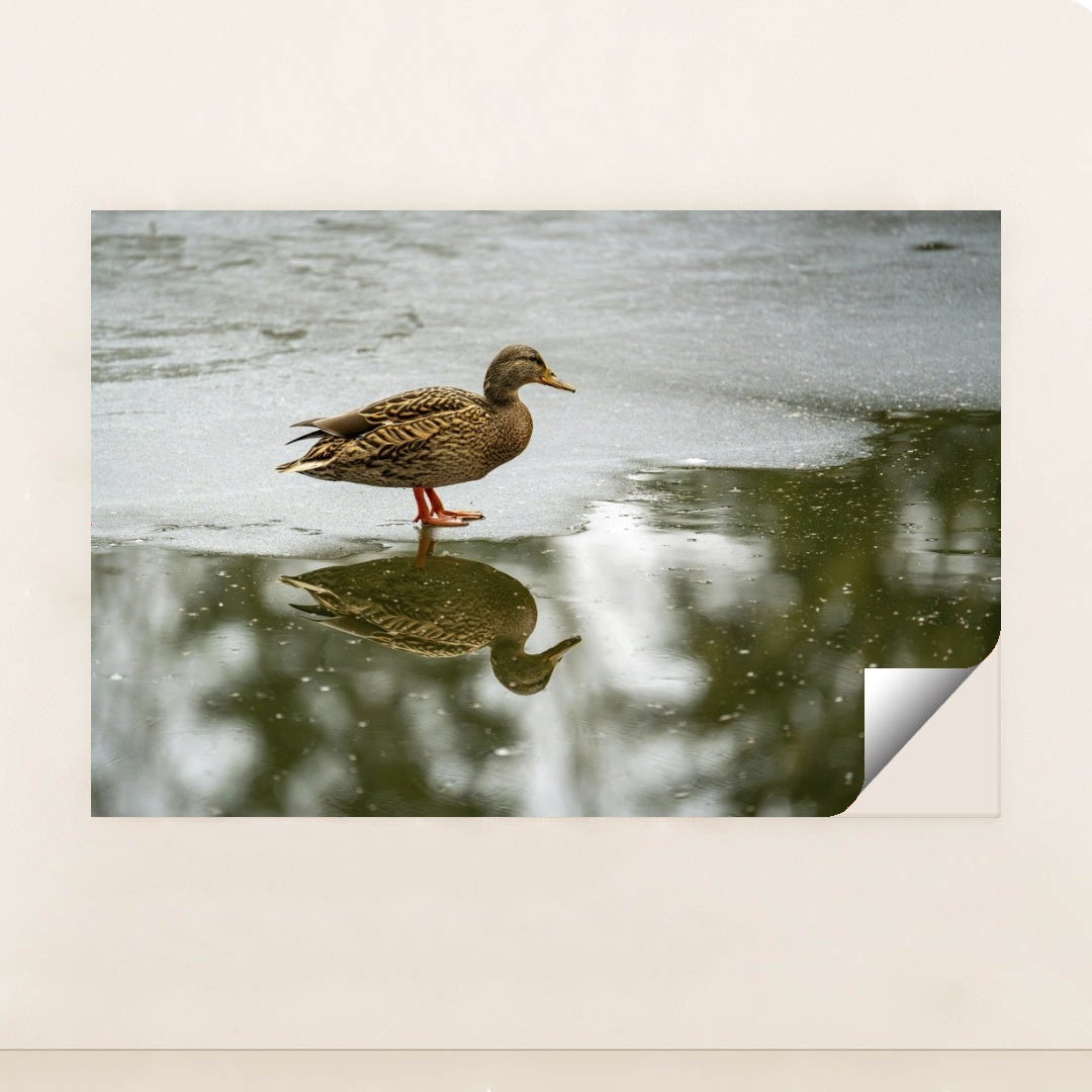 7090330828835 - Product Image