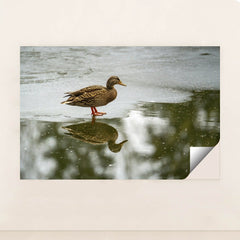 7090330828835 - Product Image