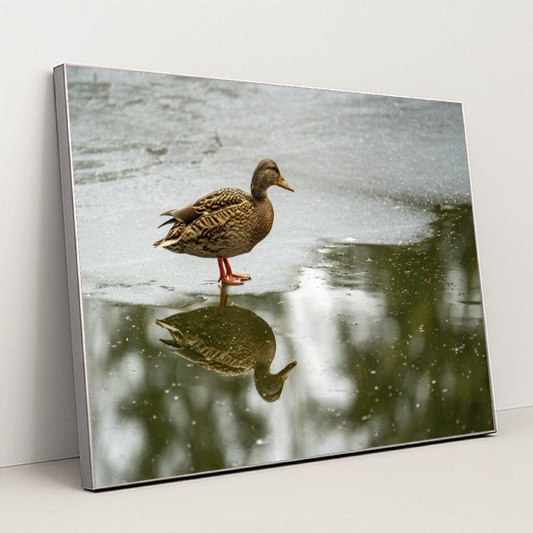 7090330828835 - Product Image