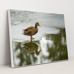 7090330828835 - Product Image