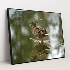 7090330861603 - Product Image