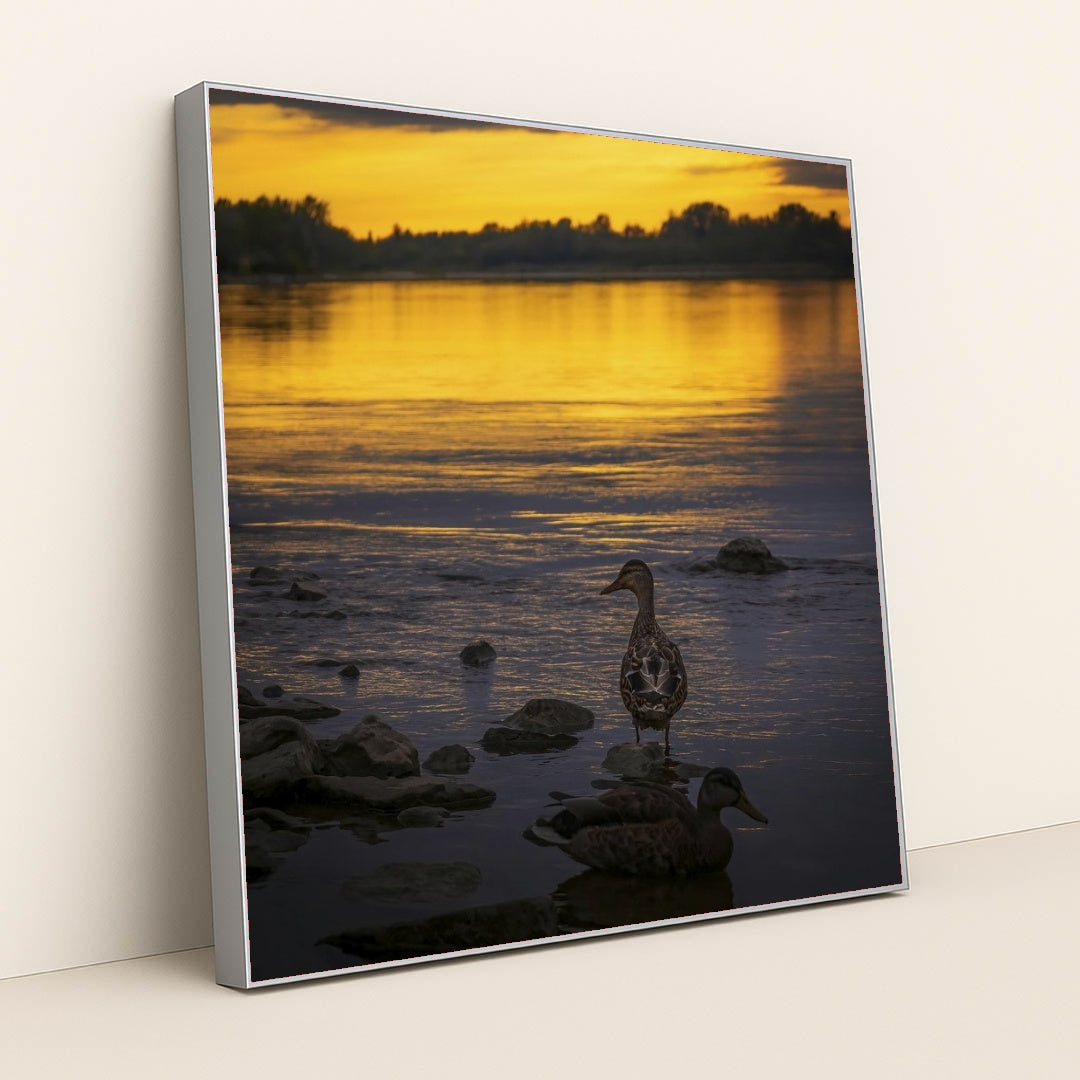 7090777456675 - Product Image