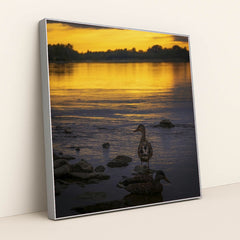 7090777456675 - Product Image