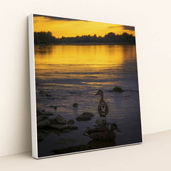 7090777456675 - Product Image