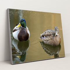 7090330730531 - Product Image