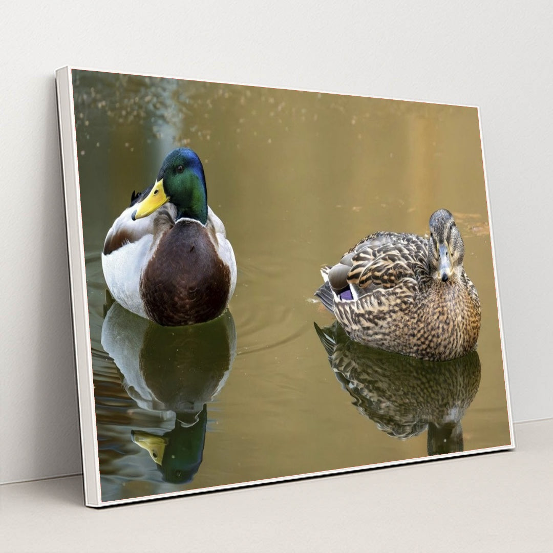 7090330730531 - Product Image