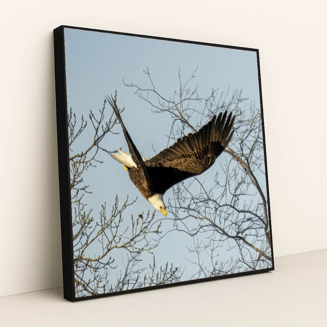 7090339577891 - Product Image