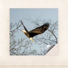 7090339577891 - Product Image