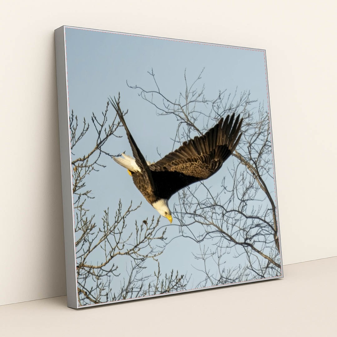 7090339577891 - Product Image