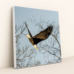 7090339577891 - Product Image