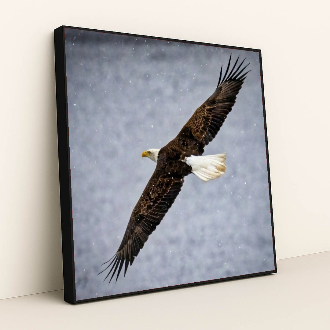 7090327355427 - Product Image