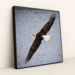 7090327355427 - Product Image