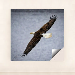 7090327355427 - Product Image