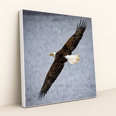 7090327355427 - Product Image