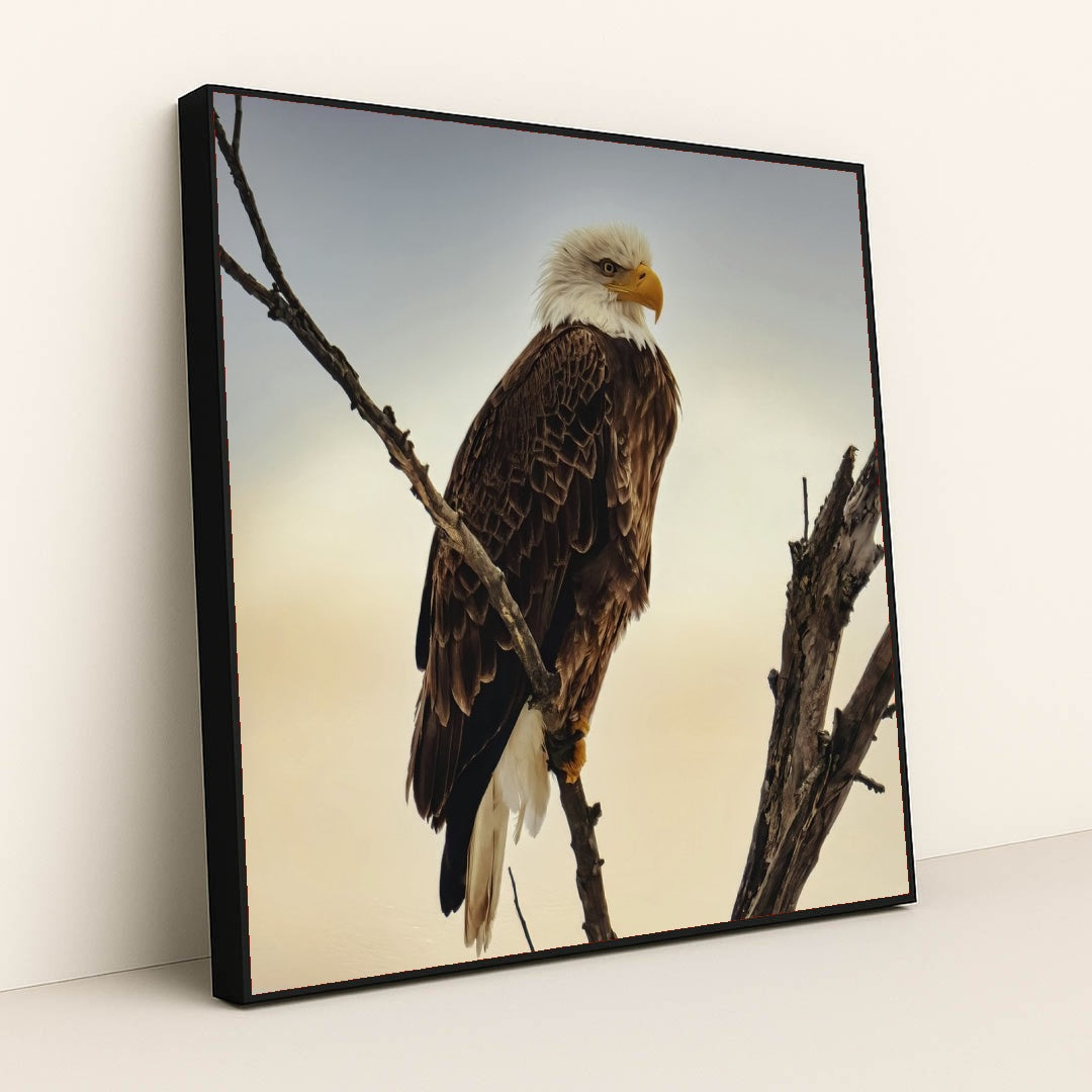 7090355929123 - Product Image