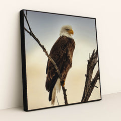 7090355929123 - Product Image