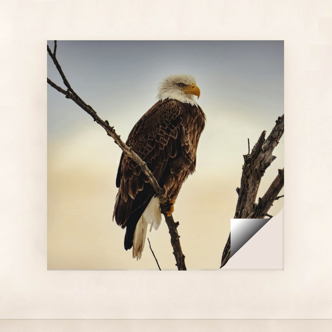 7090355929123 - Product Image