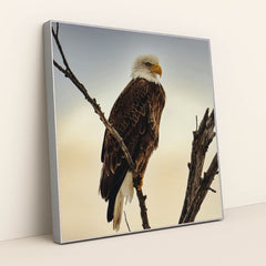 7090355929123 - Product Image