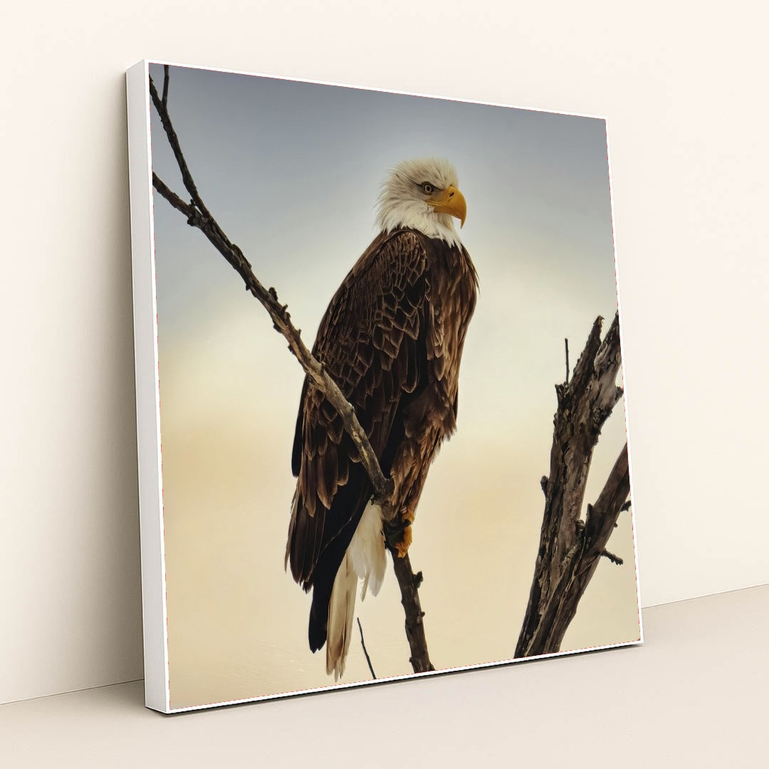 7090355929123 - Product Image