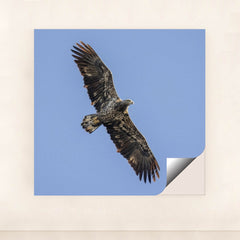 7090327420963 - Product Image