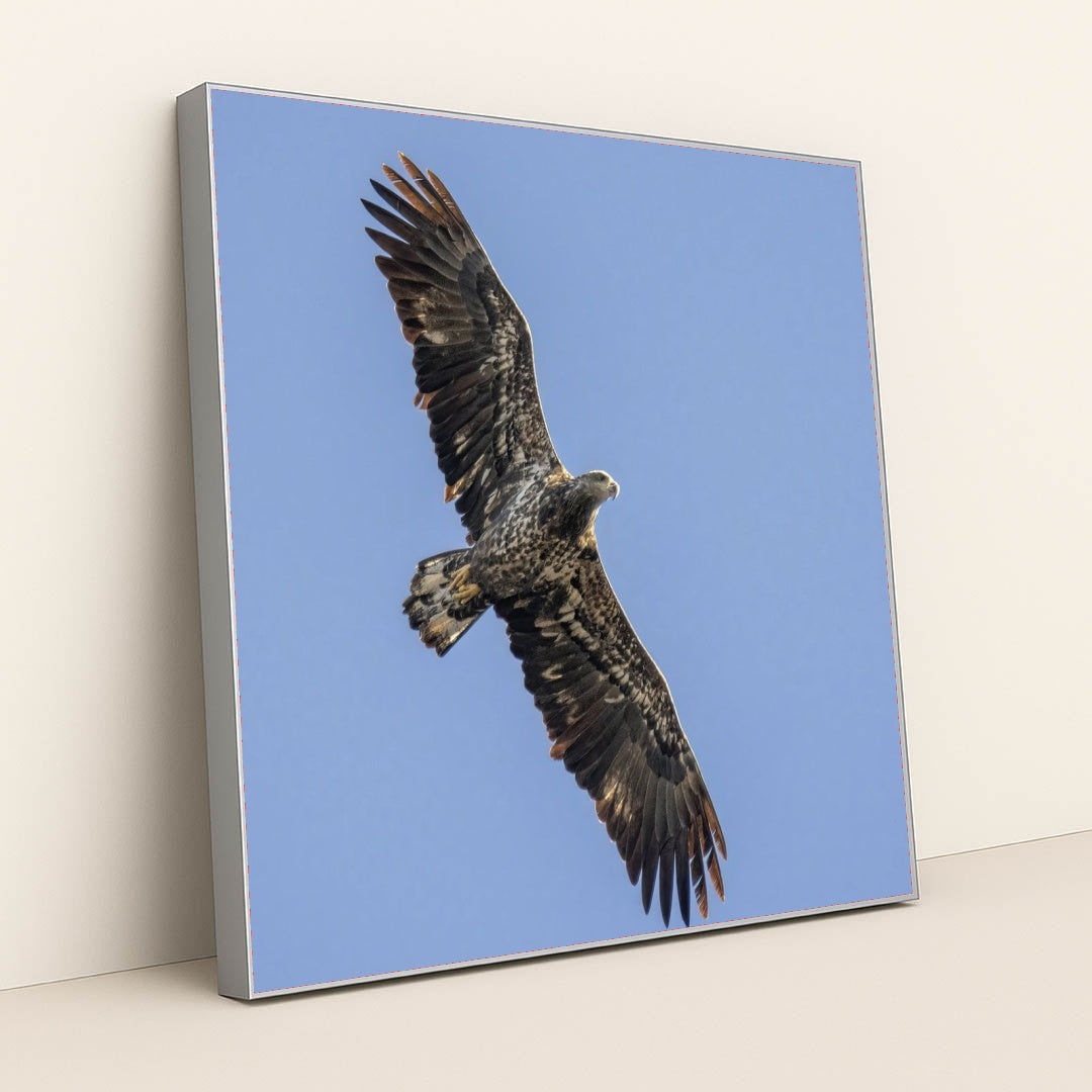 7090327420963 - Product Image