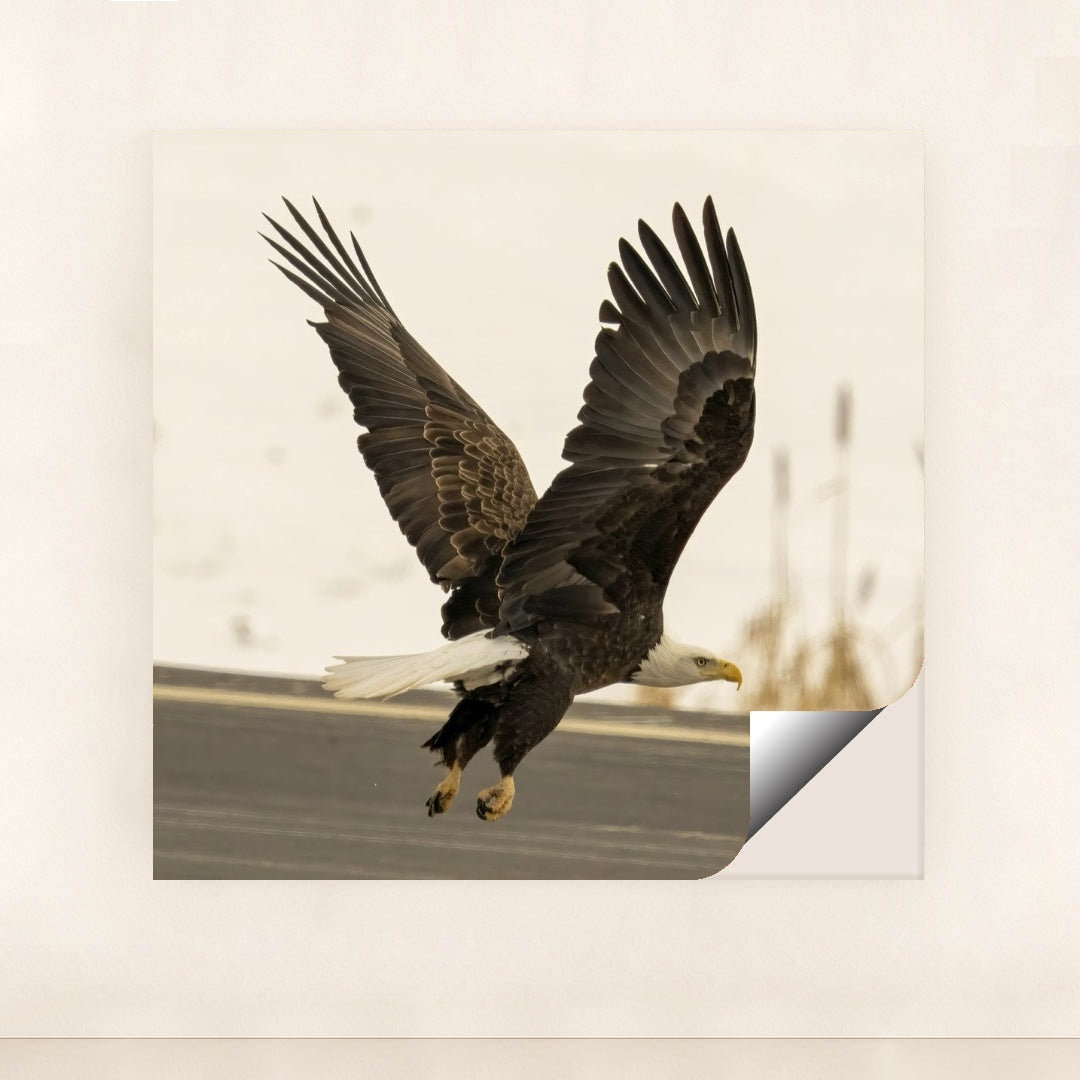 7090327453731 - Product Image