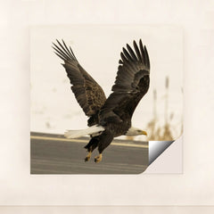 7090327453731 - Product Image