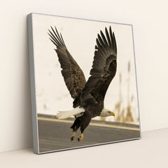 7090327453731 - Product Image