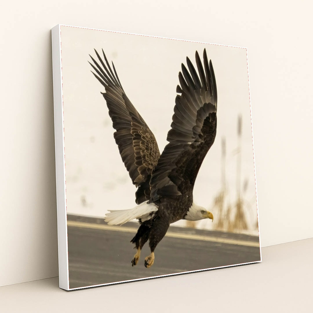 7090327453731 - Product Image