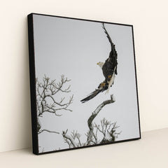 7090332500003 - Product Image