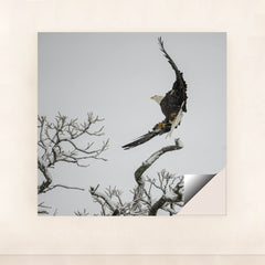 7090332500003 - Product Image