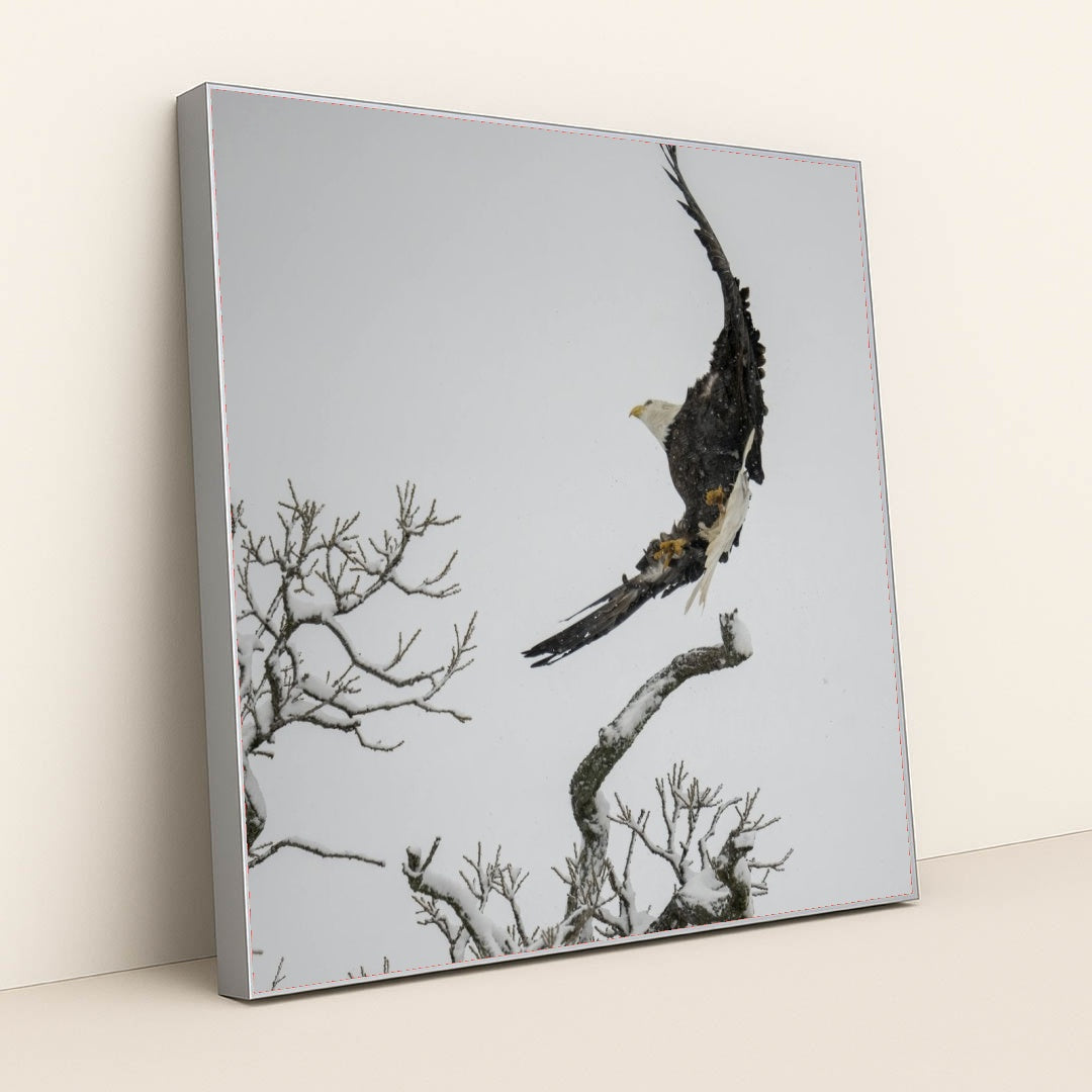 7090332500003 - Product Image